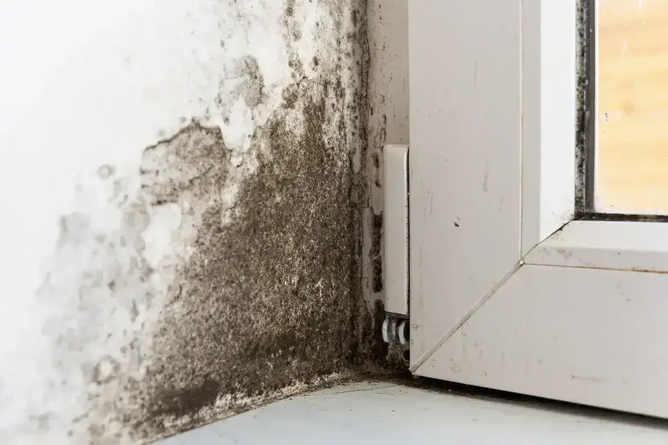 Rapid Structural Drying & Complete Restoration — Greenwood Village, CO